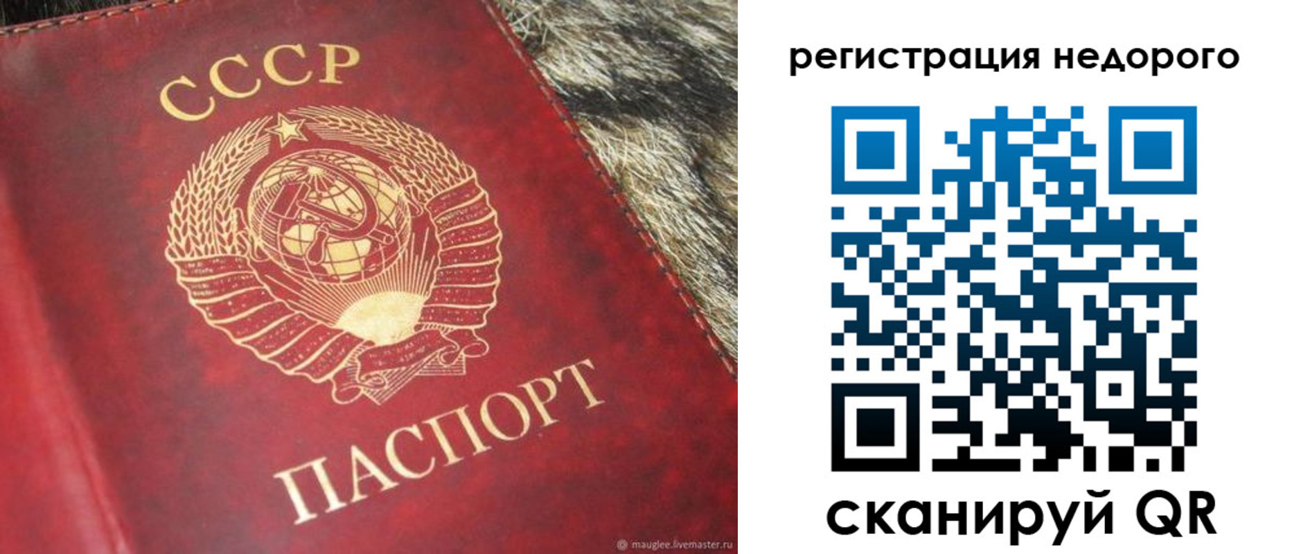 прописка ребенка в Вельске